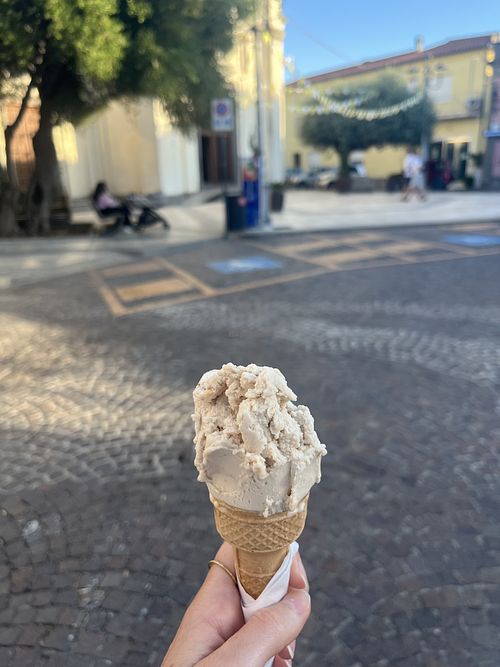 Haselnuss   at Sottozero Di Ardini Luca in Pula