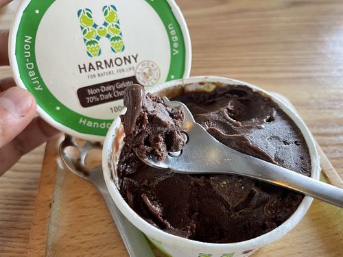 Harmony vegan gelato (rly good)  at V.W Vegan Cafe in New Territories