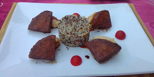 Tofu wedges with humus and quinoa. at Giardino in Bellinzona