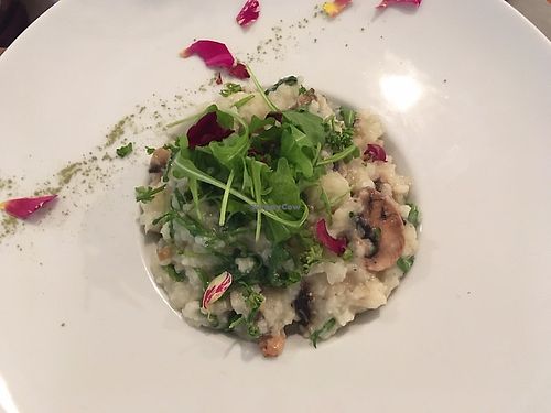 Risotto of the day with mushroom at Un Piano dans la Théière in La Rochelle