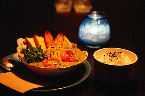 Thai green with tofu,  at Woof! in Dunedin