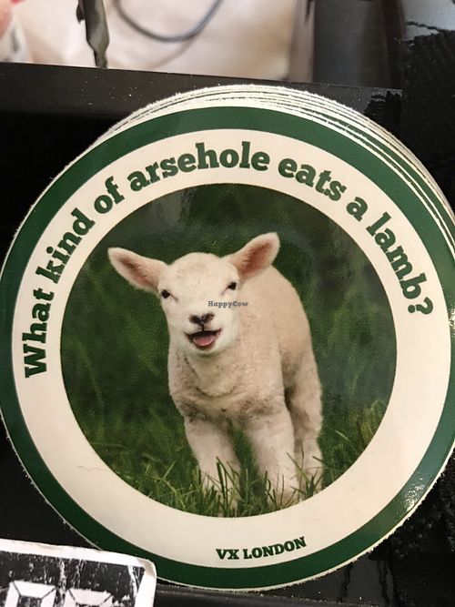 Lamb at Vx in North London