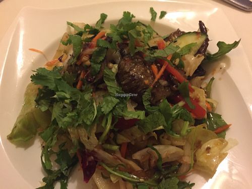 Thai Salad at Loving Hut in Hannover