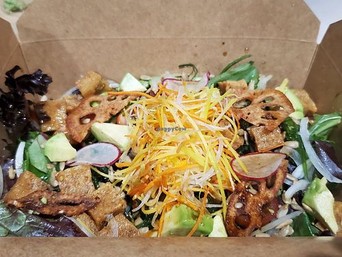 Sunflower salad to-go at Chikyū Vegan Sushi Bar & Izakaya in Las Vegas