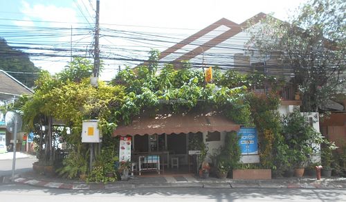 Lotus Vegetarian Restaurant same as Dok Bua Vegetarian Restaurant  at Dok Bua Vegetarian - Lotus Vegetarian in Phuket