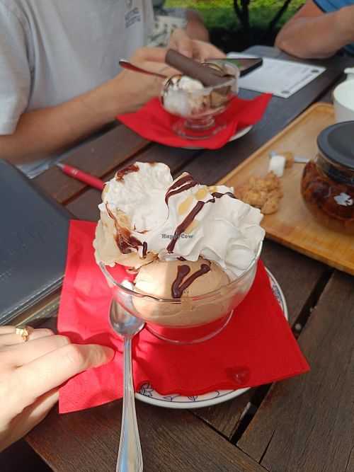Slagroom altijd vegan! Smaken: praline, stracciatella en banaan at De Hofnar in Gullegem