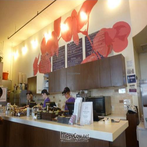 The inside at Terri in New York City