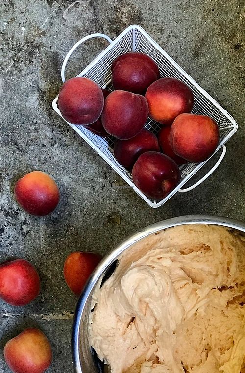 La Gelatiera - Florence at La Gelatiera in Florence