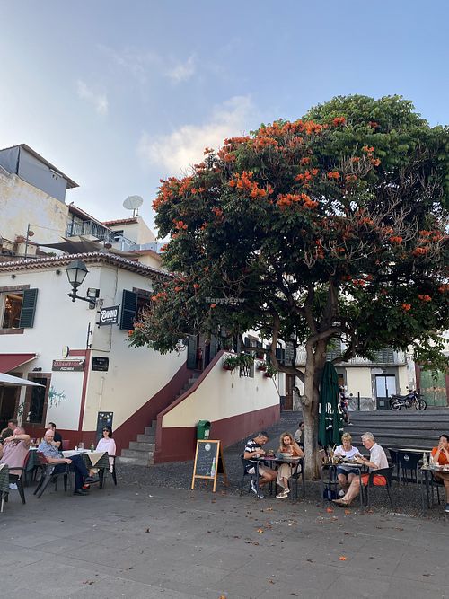 Tables under the blooming tree  at Gavino Restaurante Bar in Funchal