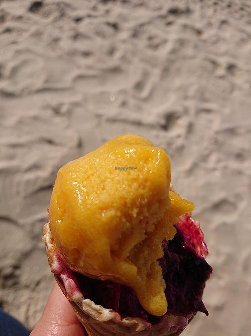 Found a hair at Hedgard Maître Artisan Glacier in Pornichet