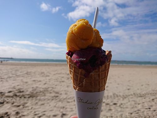 Two scoops for 3,90€ at Hedgard Maître Artisan Glacier in Pornichet