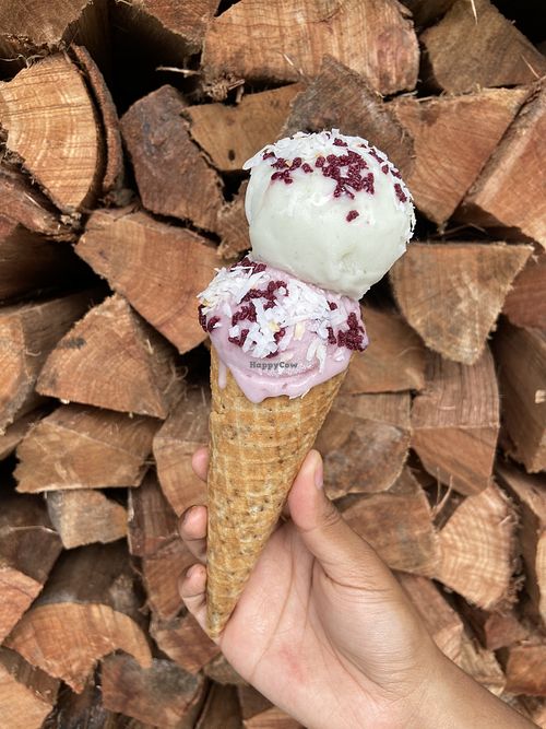 The Greenery Creamery Sanford Florida Ice Cream HappyCow