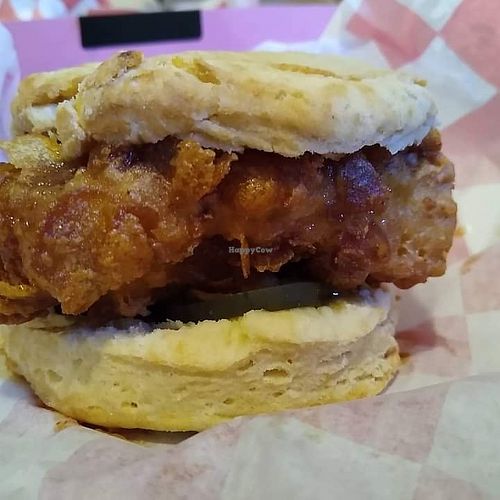 Image of NICE Biscuit