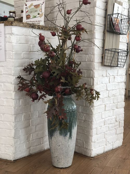 Pomegranate branches  at Il Melograno in Palmanova