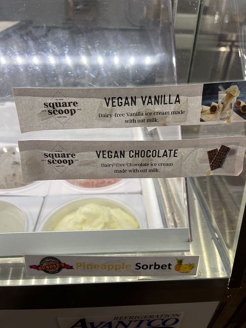 Vegan options July 2023  at Square Scoop in Indianapolis