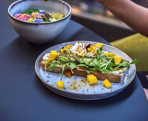 The Avocado Bar at The Avocado Bar in Leuven