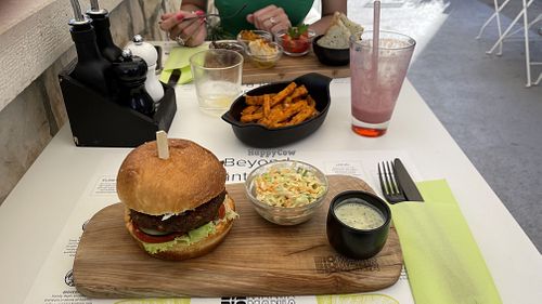 BioMania burger   at BioMania Bistro Bol in Bol