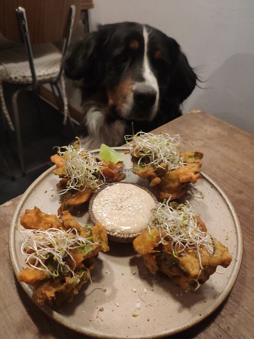 Bakwan Goreng at Matahari Boui-boui in Ile-de-re