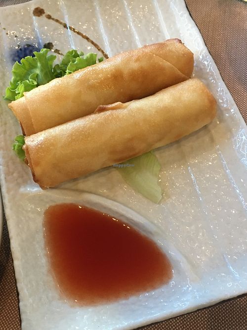 Spring rolls  at Xia in Cremona