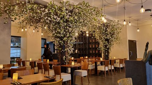 Pretty indoor seating at Thai Square - Covent Garden in London