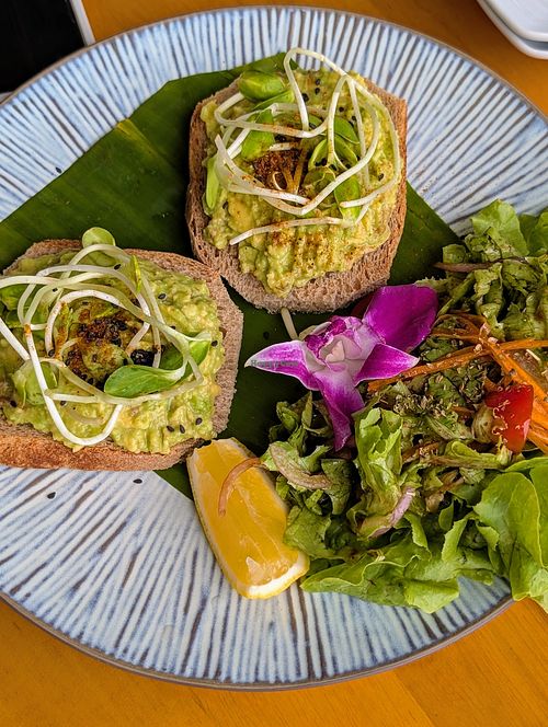 Avocado smashed toast at Bluerama in Koh Phangan