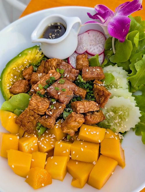 Tempeh poke bowl at Bluerama in Koh Phangan
