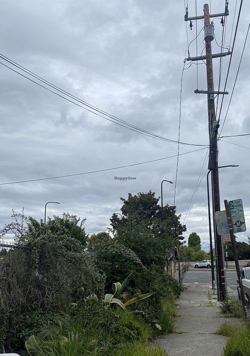 Parked on Street (Fence Now Closes Off One Side)  at Flacos in Berkeley