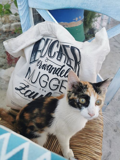 Cutie pie = probably an omnivore 😂 at Sweet Revenge in Zakinthos