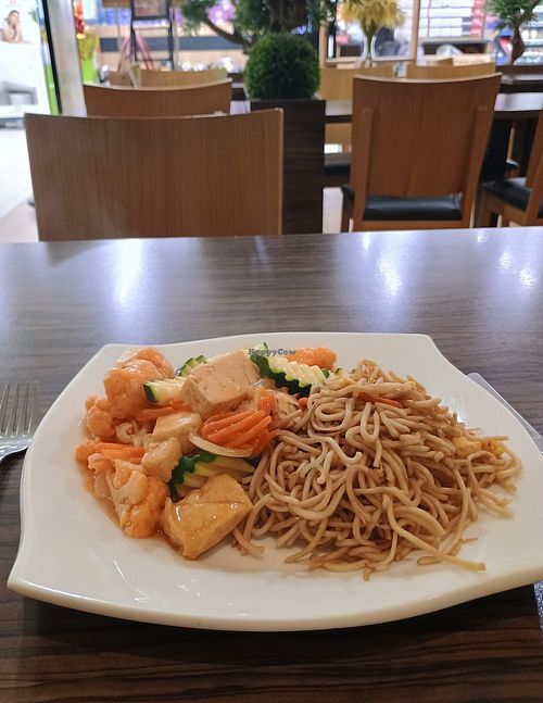 Noodles with "Tofu Mon" + sweet & sour sauce 🍜🥕🍄‍🟫🥢 at Happy Wok in Nordhorn