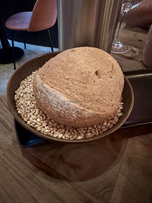   at Oliveira Kitchen in East London