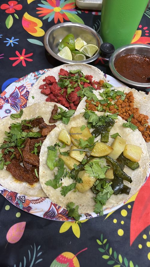 Amazing vegan tacos at Gopals - Vegetariano's in Cancun