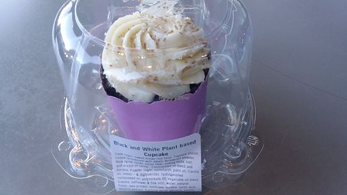 Vegan gluten-free cupcake at Walt Disney World - Landscape of Flavors in Lake Buena Vista