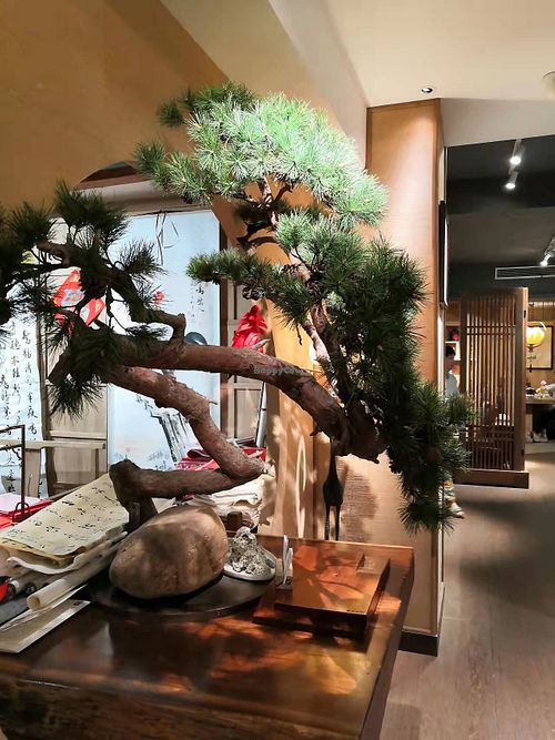  at RúShì Shū 如是蔬 in Sanya