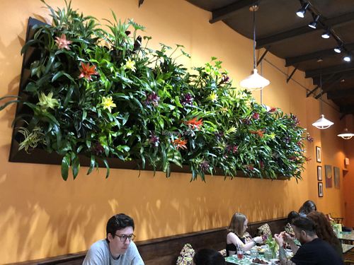 Living wall  at Lovin' Oven in Frenchtown