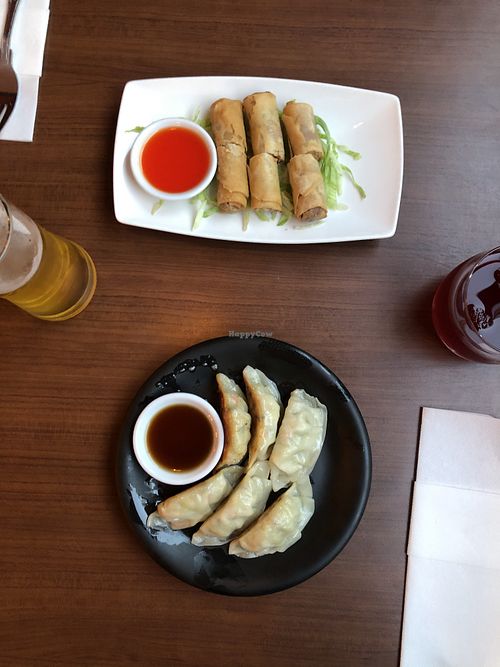 Spring rolls and gyoza at The Orchid Vegan Restaurant in York