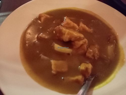 Tofu curry at The Orchid Vegan Restaurant in York