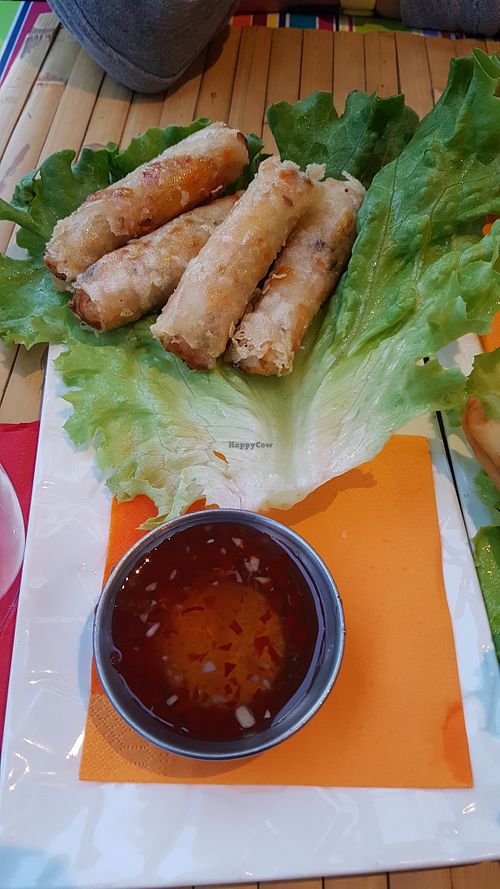 Vegetarian spring rolls at Lotus Café Zen in Lacanau