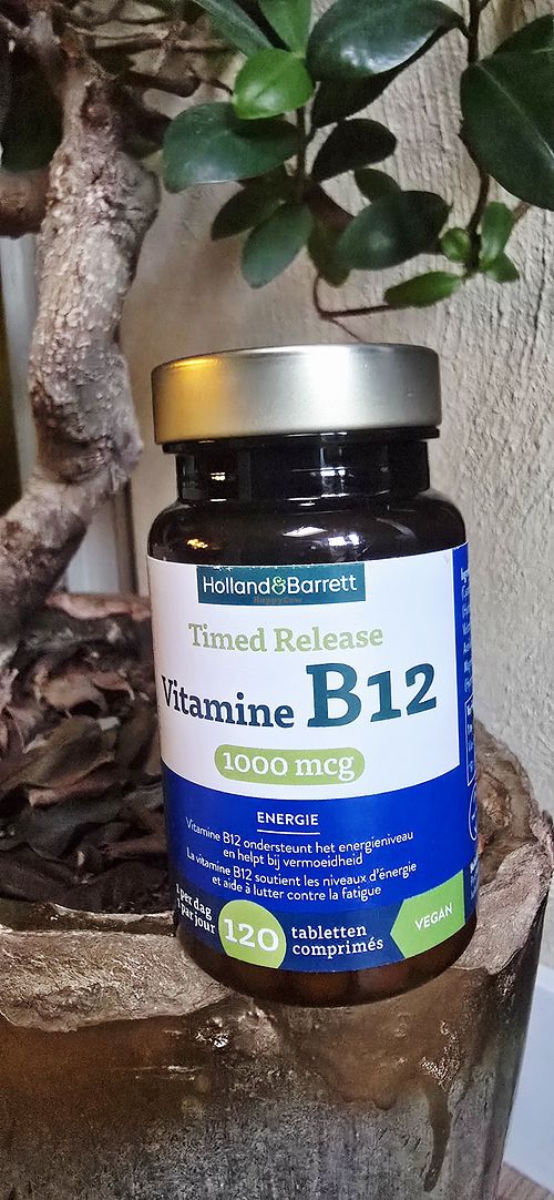 B12 vegan at Holland & Barrett in Roermond