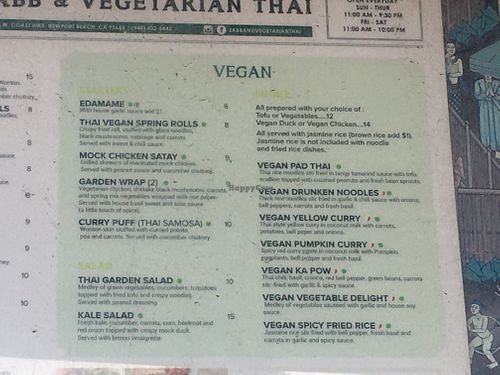 Vegan options at Zabb Thai Cuisine Newport Beach in Newport Beach