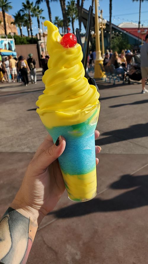 Disneyland Adorable Snowman Frosted Treats Anaheim California Ice