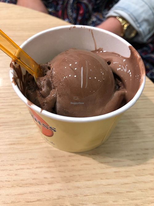 Mouse au Chocolate at Krauss Eisdiele in Oldenburg