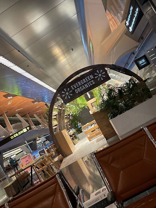 Really lovely place  at DOH - Evergreen Organics in Doha