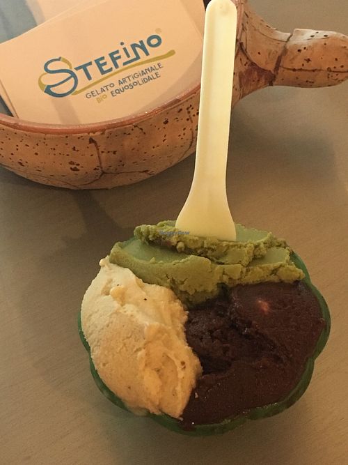 Mediterraneo veg, gianduia and matcha gelato  at Gelateria Stefino in Bologna