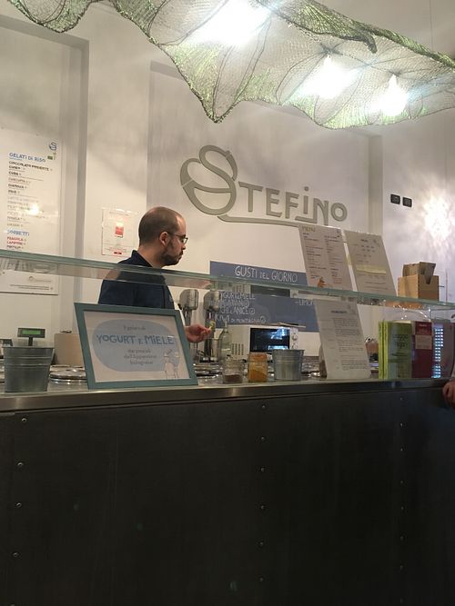 The counter  at Gelateria Stefino in Bologna