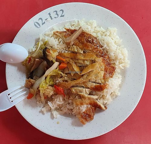 Vegetarian fried Chicken Rice. Photo by Sam Lama  at Hoho 豪好 in Central Singapore