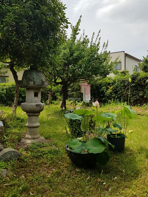 View from our table at Hana Uta in Matsugasaki