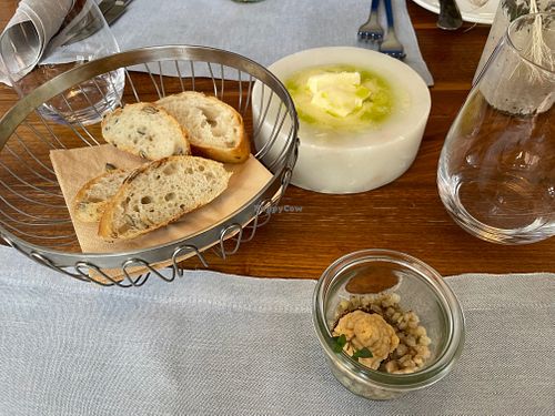 Starter at ROSE in Hayingen