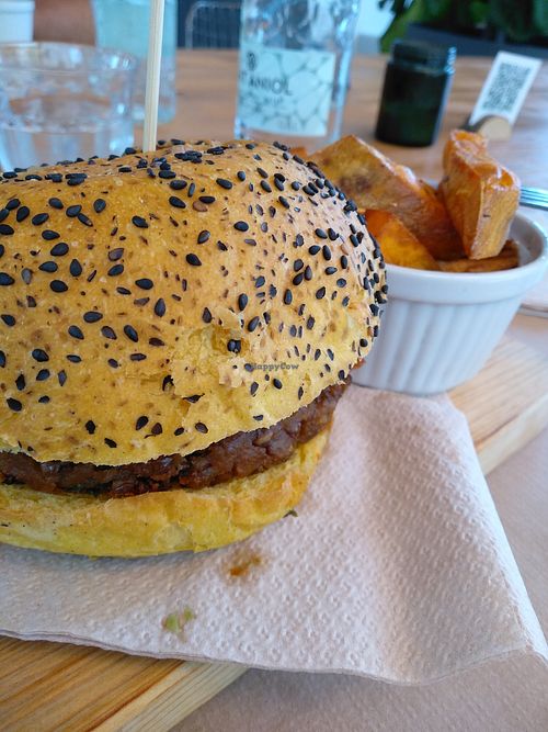 Vegan burguer and sweet potato fries at Green&Burger in Terrassa