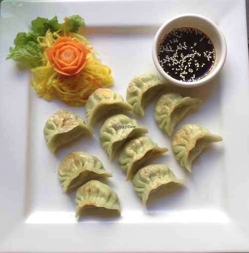 Japanese dumplings  at Midori in Graz