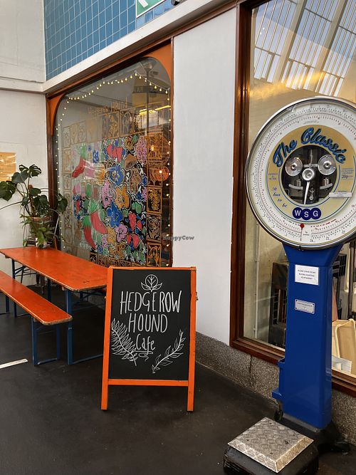 The Hound  at The Hedgerow Hound in Plymouth